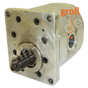 Hydraulikpumpe - A100 - rechts - reg. Tausch